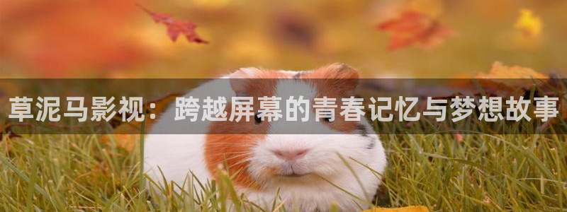 九七影院进入：草泥马影视：跨越屏幕的青春记忆与梦想故事