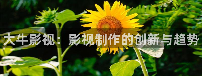 九七视频一区